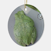 Ornament van boomkikker (Links)