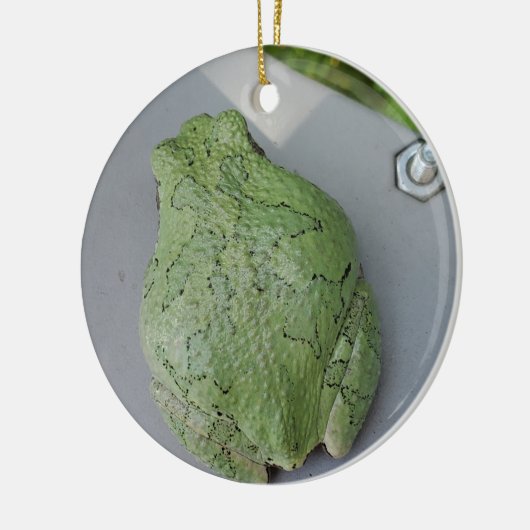 Ornament van boomkikker (Links)