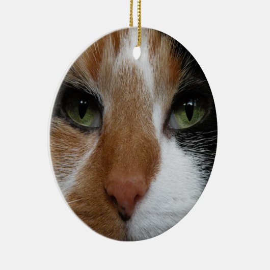 Ornament van Calico-katten (Rechts)