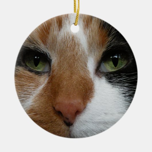 Ornament van Calico-katten (Voorkant)