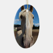 Ornament van Champagne Tennessee Walking Horse (Rechts)