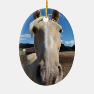 Ornament van Champagne Tennessee Walking Horse