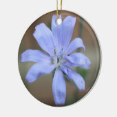 Ornament van cichorei (Links)