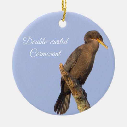 Ornament van de aalscholver met dubbele kuif (Voorkant)