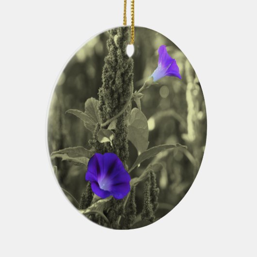 Ornament van de Bloem van de Gloriën van de (Rechts)