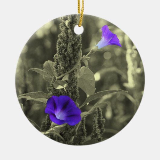 Ornament van de Bloem van de Gloriën van de (Voorkant)