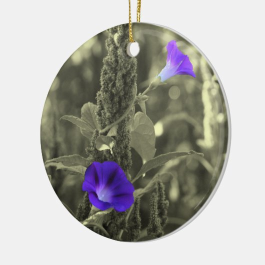 Ornament van de Bloem van de Gloriën van de (Links)