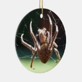 Ornament van de "Garden Orb Weaver Spider" (Rechts)