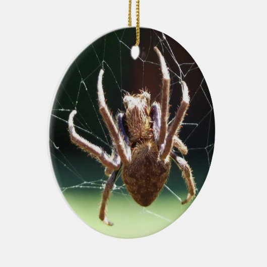 Ornament van de "Garden Orb Weaver Spider" (Rechts)
