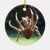 Ornament van de "Garden Orb Weaver Spider" (Voorkant)