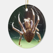 Ornament van de "Garden Orb Weaver Spider" (Links)