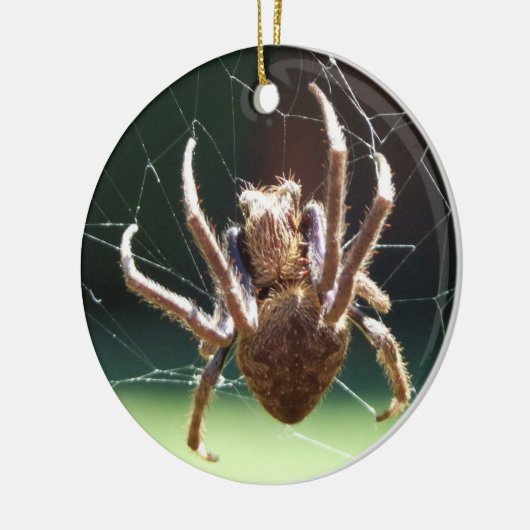 Ornament van de "Garden Orb Weaver Spider" (Links)