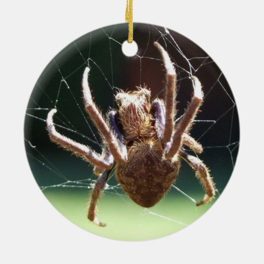 Ornament van de "Garden Orb Weaver Spider" (Achterkant)