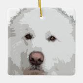 Ornament van de Grote Pyreneeënberg (Voorkant)