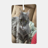 Ornament van de heer Trouble (Voorkant links)