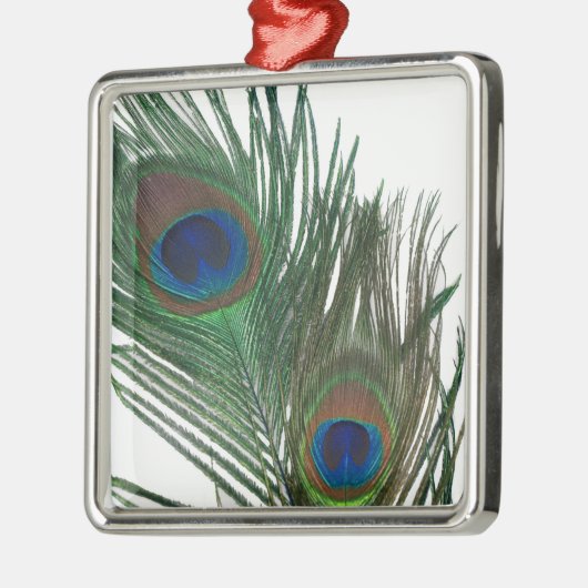 Ornament van de liefdevol witte pacock (Links)