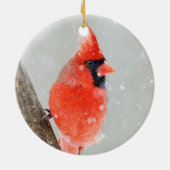 Ornament van de mannetjesroodroos (Achterkant)