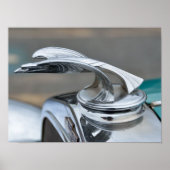 Ornament van de motorkap poster (Voorkant)