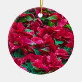 Ornament van de Poinsettia-kerstboom (Voorkant)