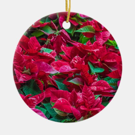 Ornament van de Poinsettia-kerstboom (Voorkant)