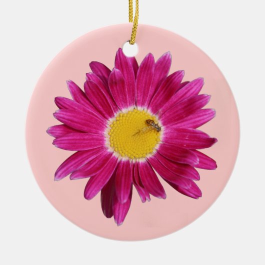 Ornament van de roze madeliefje (Voorkant)