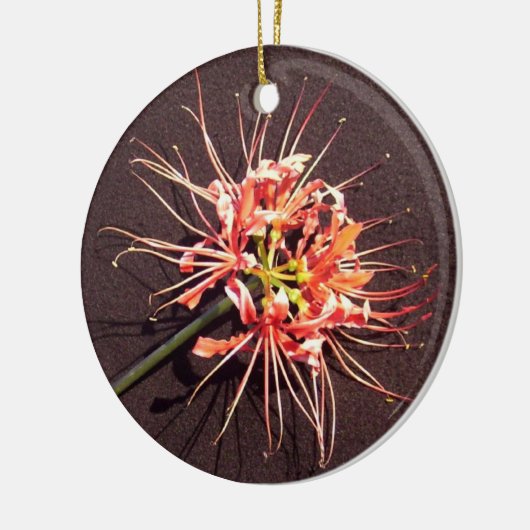 Ornament van de spin Lily Memorial - 2 (Links)