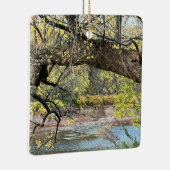 Ornament van het herfstwaterschap (Rechts)