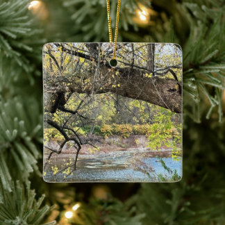 Ornament van het herfstwaterschap