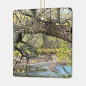 Ornament van het herfstwaterschap (Links)