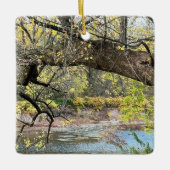 Ornament van het herfstwaterschap (Voorkant)