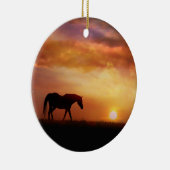 Ornament van het mooie paard (Rechts)