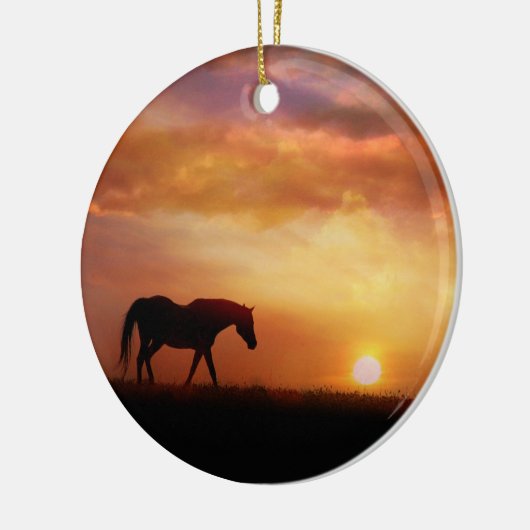 Ornament van het mooie paard (Links)