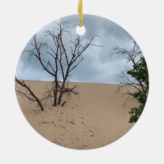 Ornament van het Nationaal Park Indiana Dunes (Achterkant)