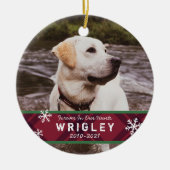 Ornament van het Pet Memorial (Voorkant)