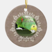  Ornament van het vogelherdenkingsprogramma Lace P (Voorkant)
