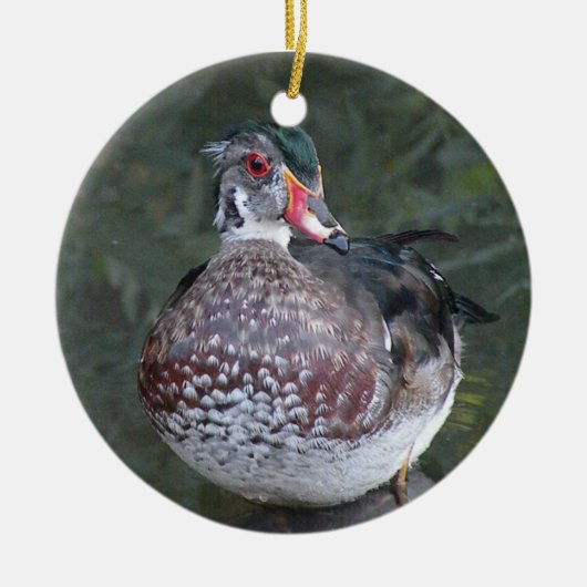 Ornament van hout Duck (Voorkant)
