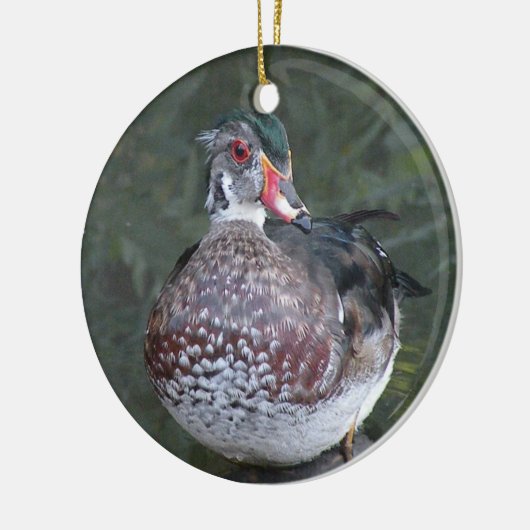Ornament van hout Duck (Links)