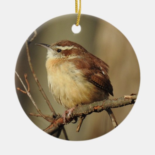 Ornament van in het wild levende dieren, (Voorkant)