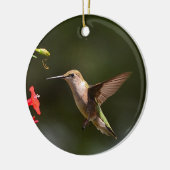 Ornament van kalkoenen (Links)