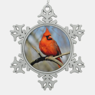 Ornament van kardinaal Crest Snowflake