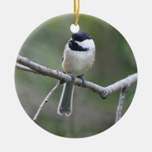 Ornament van kippen (Voorkant)