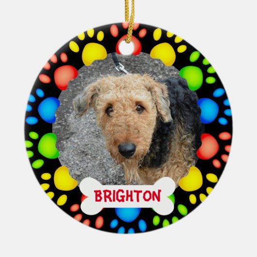 Ornament van kleurrijke vogelbomen (Voorkant)