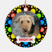 Ornament van kleurrijke vogelbomen (Achterkant)