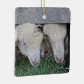 Ornament van lammeren (Rechts)