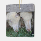 Ornament van lammeren (Links)