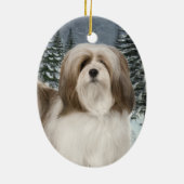 Ornament van Lhasa Apso (Achterkant)