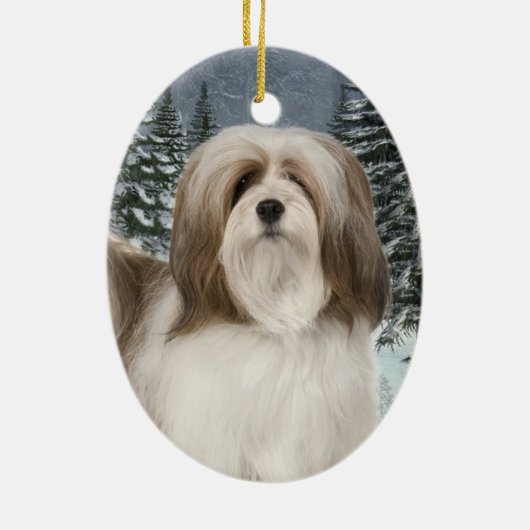 Ornament van Lhasa Apso (Achterkant)