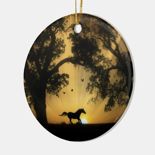 Ornament van mooie paarden en zonnepannen (Links)