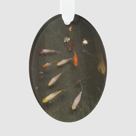 Ornament van Nishikigoi (Koi Fish) (voorkant)