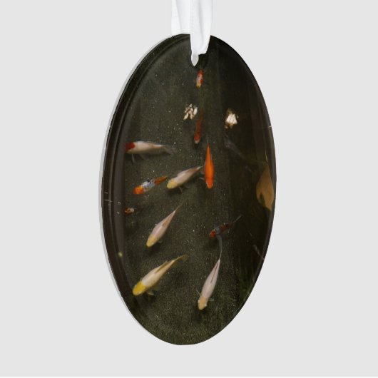 Ornament van Nishikigoi (Koi Fish) (voorkant)